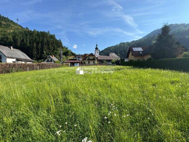 Immobilie kaufen in Tragöß, Steiermark