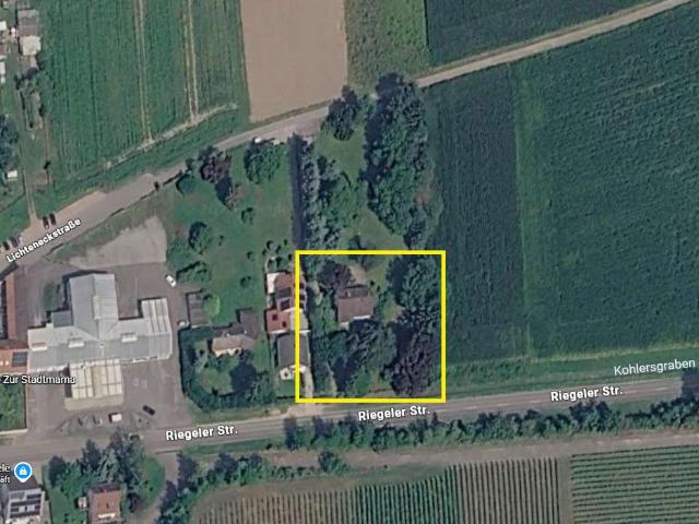 Erdgeschosswohnung kaufen in Endingen, Endingen am Kaiserstuhl