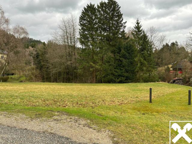 Grundstück kaufen in Bad Kreuzen, Oberösterreich