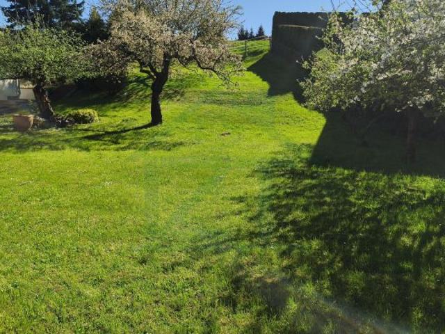Erdgeschosswohnung kaufen in Eisenberg, Thüringen