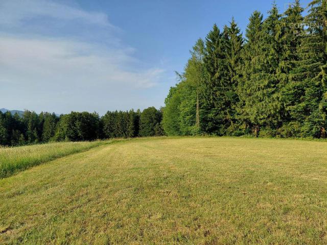 Immobilie kaufen in St. Oswald, Steiermark