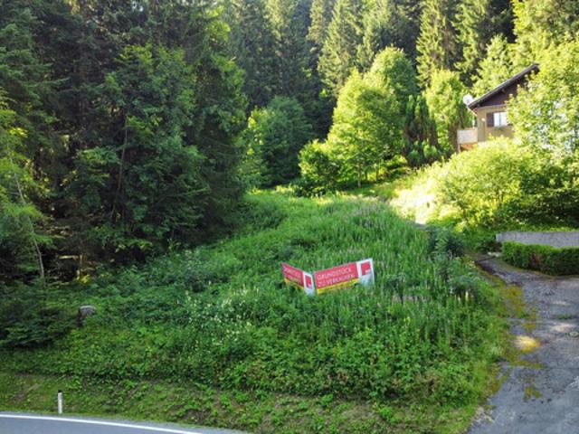 Grundstück kaufen in Schwarzenberg, Vorarlberg