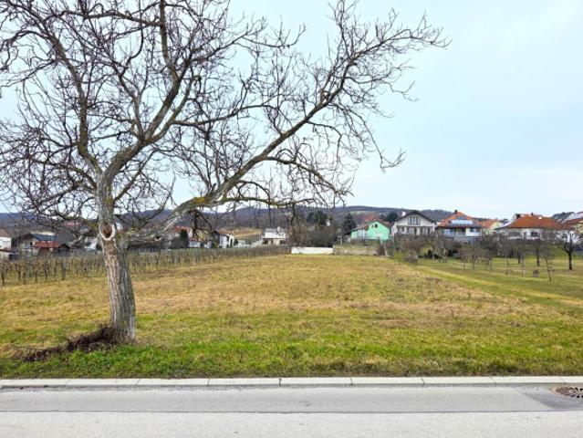 Grundstück kaufen in Pürbach, Burgenland
