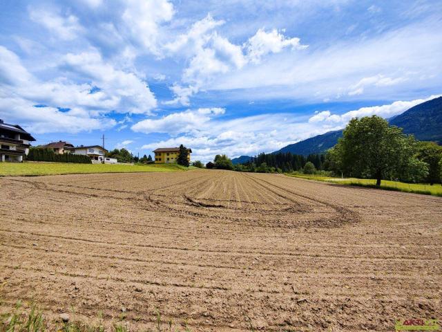 Immobilie kaufen in Berg, Berg im Drautal