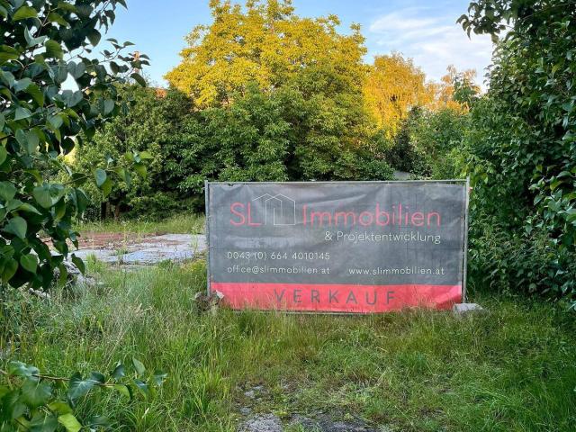 Immobilie kaufen in Salzburg