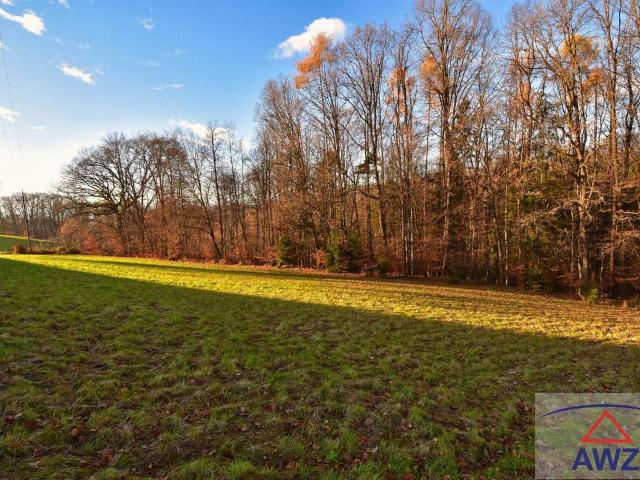 Grundstück kaufen in Bezirk Graz-Umgebung, Steiermark