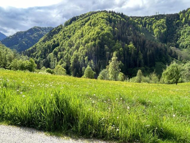 Immobilie kaufen in St. Gallen, Steiermark