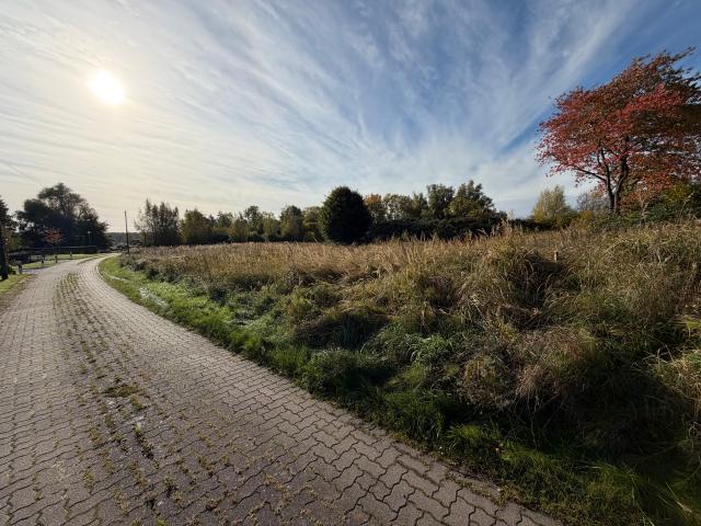Landwirtschaft kaufen in Wittenhagen, Vorpommern-Rügen