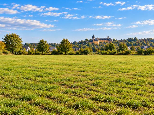 Landwirtschaft kaufen in Hachenburg, Westerwaldkreis