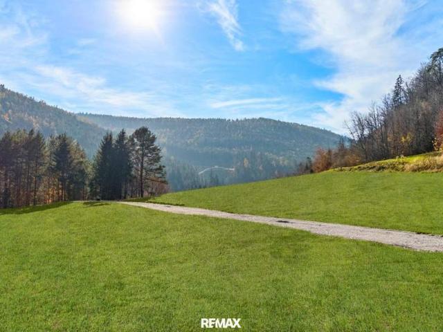 Grundstück kaufen in Steiermark