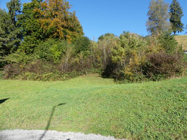 Grundstück kaufen in Thüringen, Vorarlberg