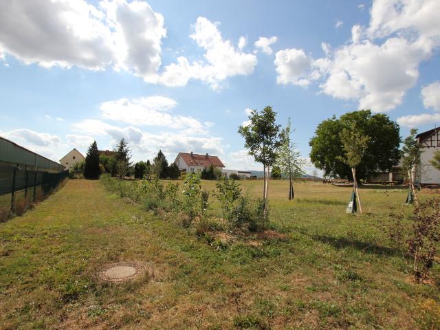 Landwirtschaft kaufen in Waldeck, Hessen