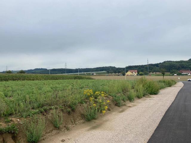 Immobilie kaufen in Wieselburg, Niederösterreich