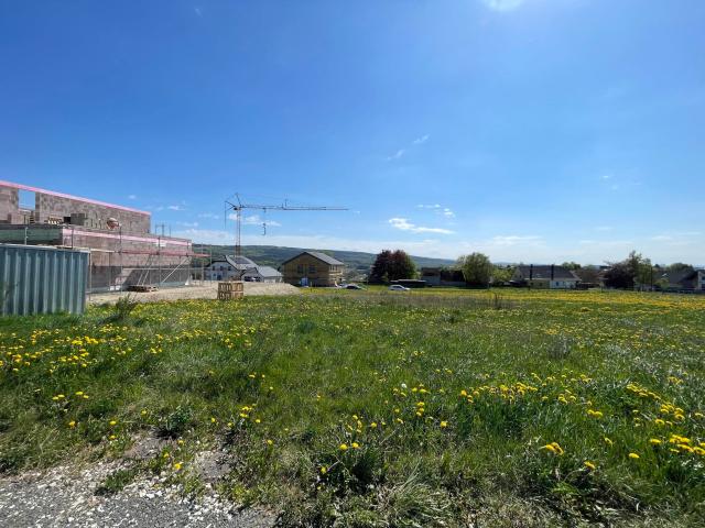 Erdgeschosswohnung mieten in Morbach, Rheinland-Pfalz
