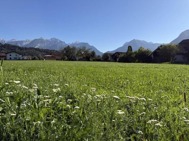 Immobilie kaufen in Kuchl, Bezirk Hallein