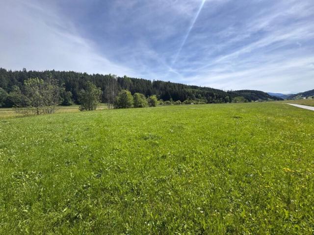 Grundstück kaufen in Steiermark