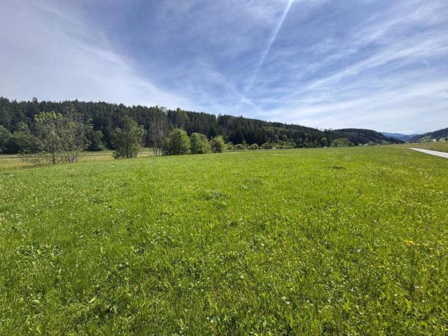 Immobilie kaufen in Steiermark
