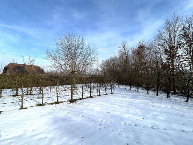 Immobilie kaufen in Eferding, Oberösterreich