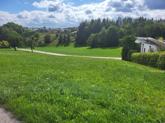Grundstück kaufen in Parz, Grieskirchen