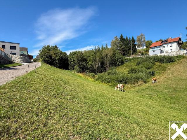 Grundstück kaufen in Herzogsdorf, Oberösterreich