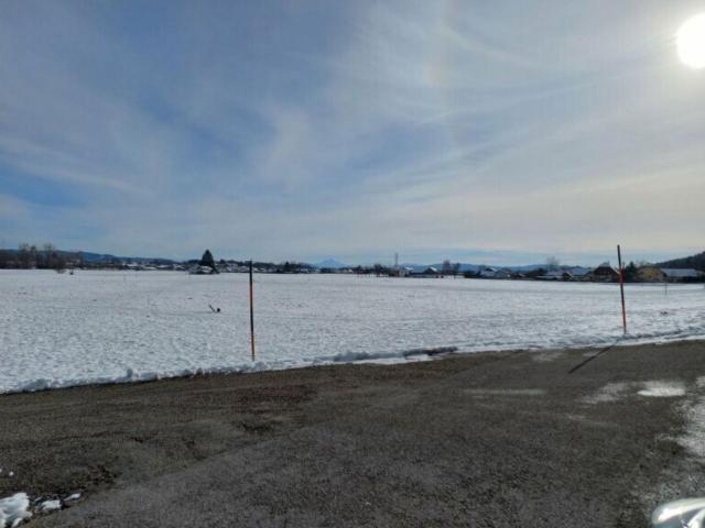 Grundstück kaufen in Pfaffstätt, Oberösterreich