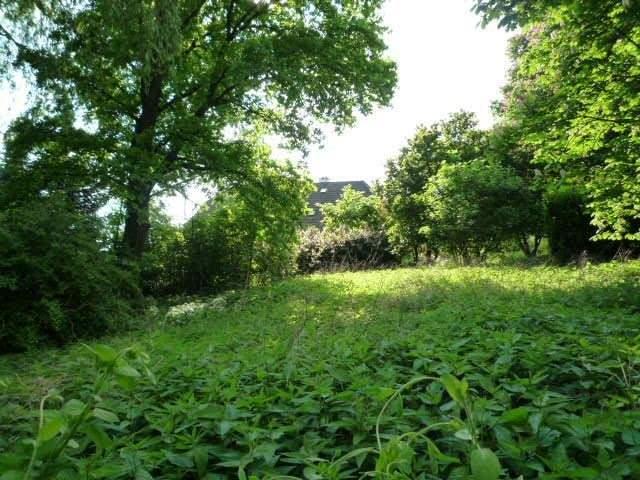 Grundstück kaufen in Schärding, Oberösterreich