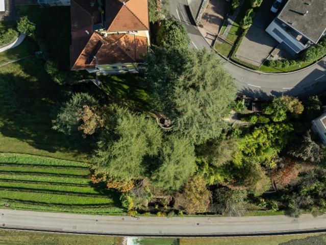 Grundstück kaufen in San Giorgio, Morbio Inferiore