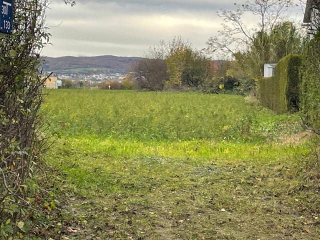Grundstück kaufen in Trausdorf an der Wulka, Burgenland