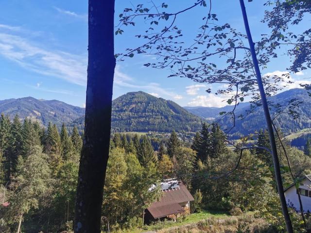 Grundstück kaufen in Spital am Semmering, Steiermark