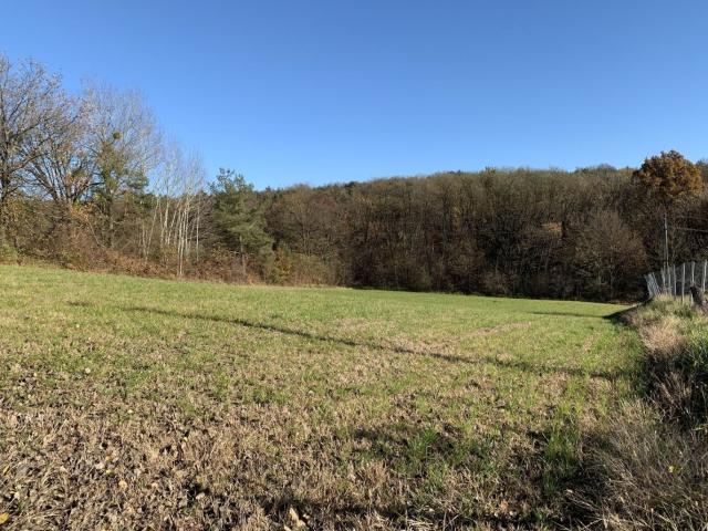 Grundstück kaufen in Jennersdorf, Burgenland