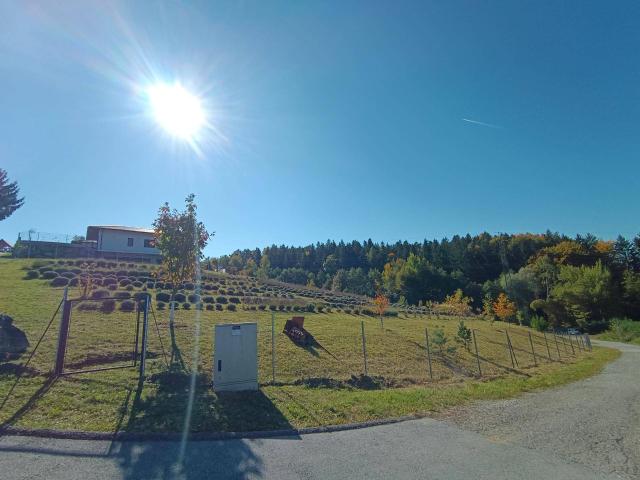 Immobilie kaufen in Kowald, Voitsberg