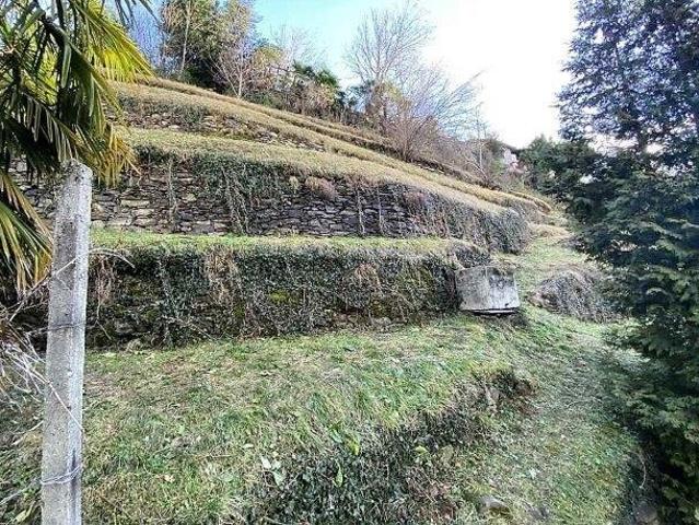 Immobilie kaufen in Bellinzona, Tessin