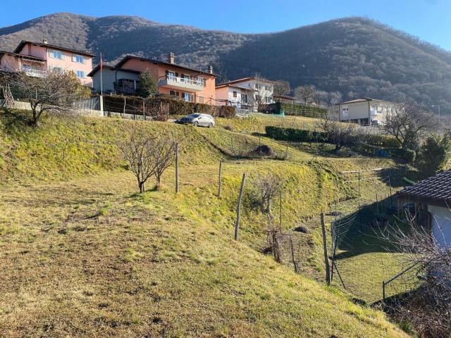 Immobilie kaufen in Mendrisio, Tessin