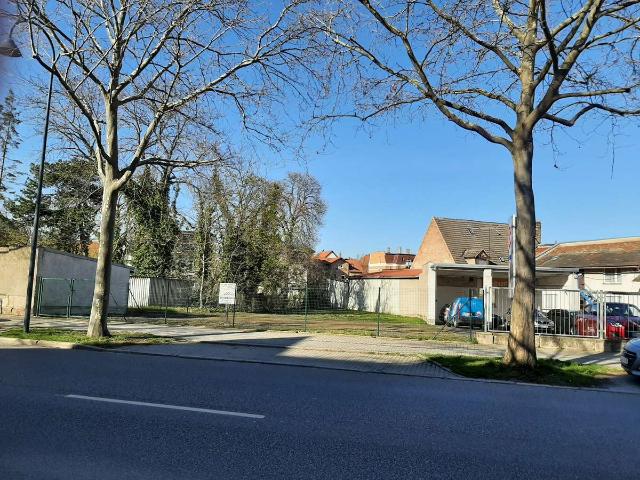 Erdgeschosswohnung kaufen in Ostviertel, Naumburg (Saale)