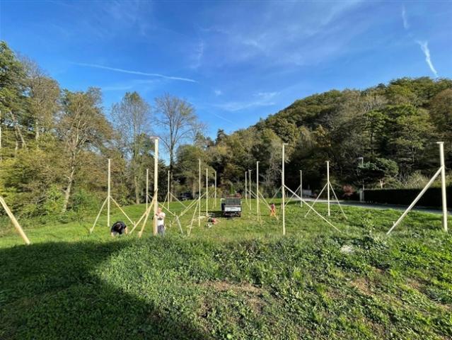 Wohnung kaufen in Losone, Tessin