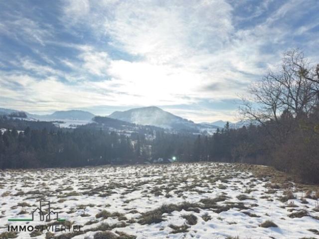 Grundstück kaufen in St. Georgen an der Leys, Niederösterreich
