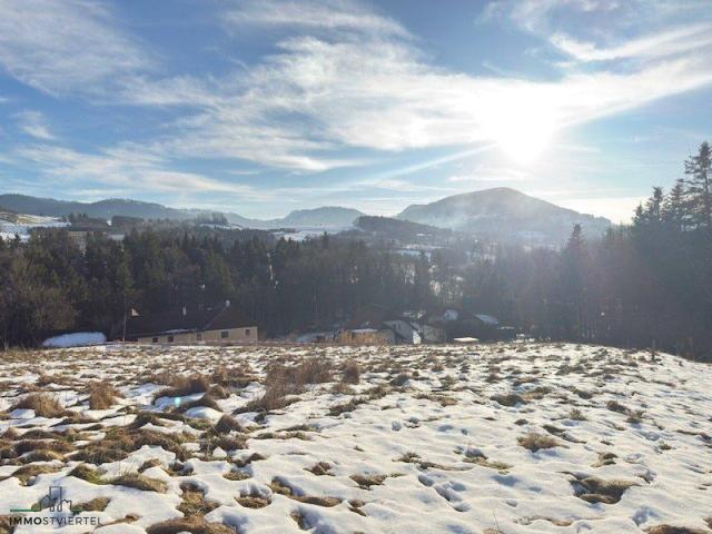 Immobilie kaufen in St. Georgen an der Leys, Niederösterreich