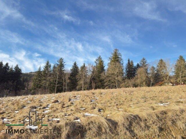 Grundstück kaufen in St. Georgen an der Leys, Niederösterreich