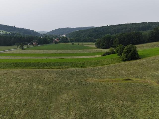 Grundstück kaufen in Pyhra, Niederösterreich