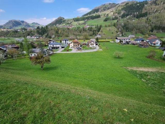 Immobilie kaufen in Großraming, Oberösterreich