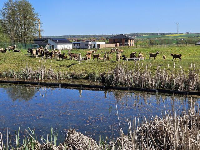 Erdgeschosswohnung mieten in Hofgeismar, Hessen