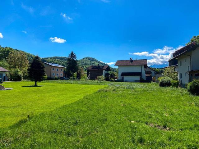 Immobilie kaufen in Renger-Lehenau, Adnet