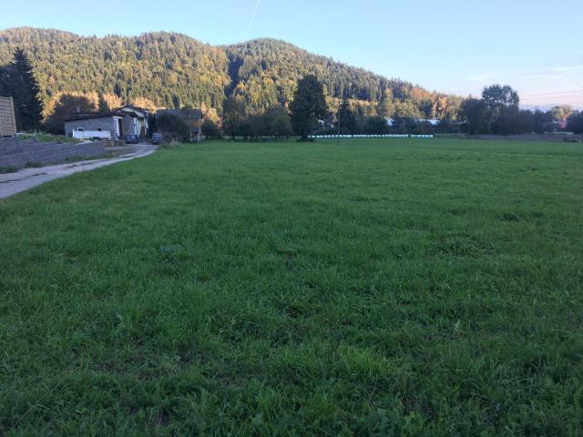Immobilie kaufen in Griffen, Kärnten