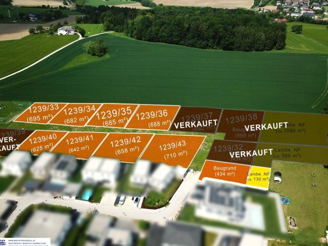 Grundstück kaufen in Katsdorf, Oberösterreich