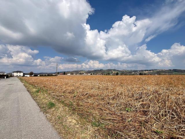Immobilie kaufen in Badhöring, St. Florian am Inn