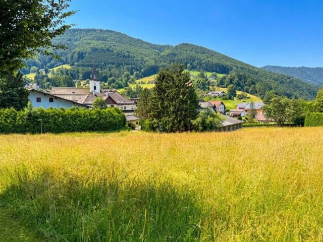 Grundstück kaufen in Neukirchen an der Vöckla, Bezirk Vöcklabruck