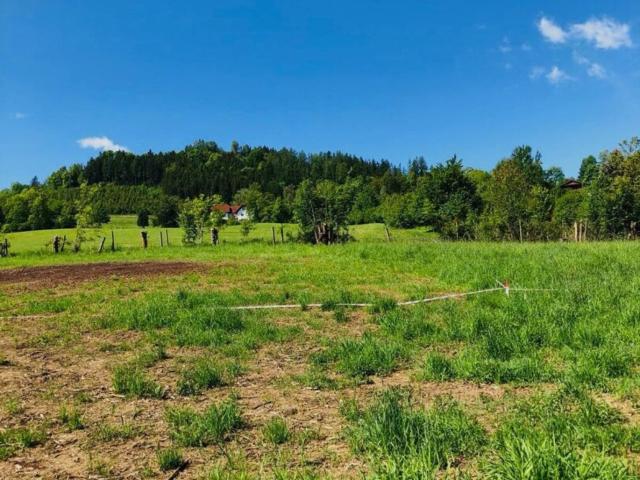 Grundstück kaufen in Bruck an der Mur, Steiermark