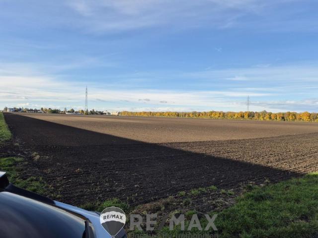 Landwirtschaft kaufen in Donaustadt, Wien