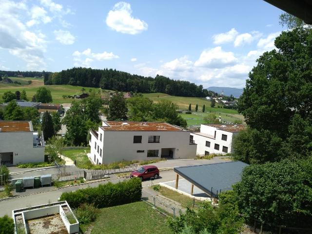 Grundstück kaufen in Rothrist, Aargau