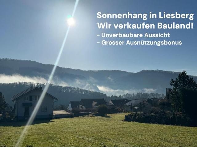 Grundstück mieten in Liesberg, Basel-Landschaft